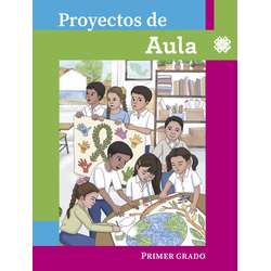 Proyectos De Aula