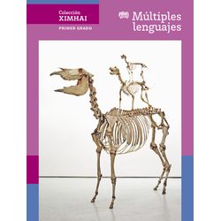 Coleccion Ximhai Multiples Lenguajes