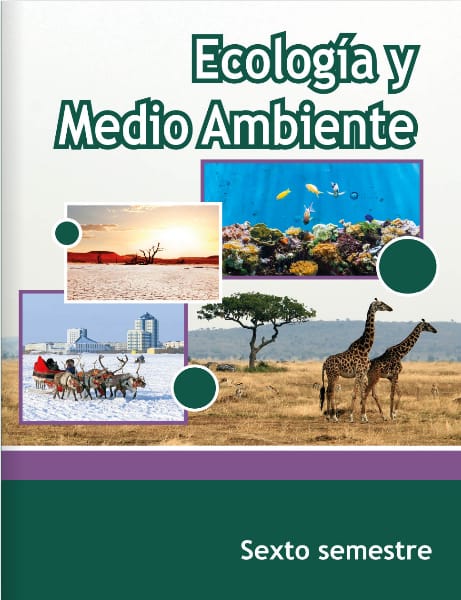 Ecologia Y Medio Ambiente Sexto Semestre Telebachillerato
