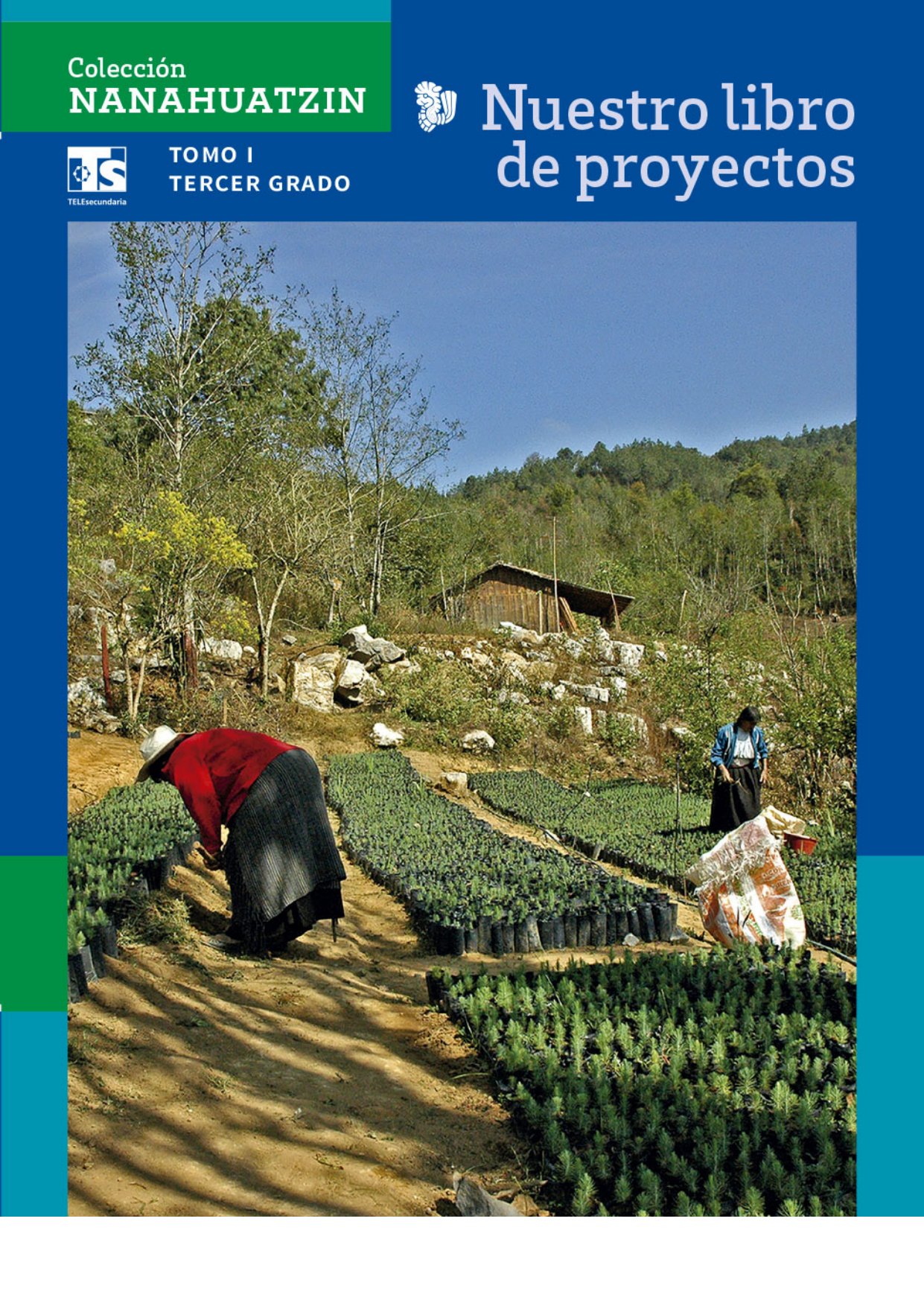 Coleccion Nanahuatzin Nuestro Libro De Proyectos Tomo I