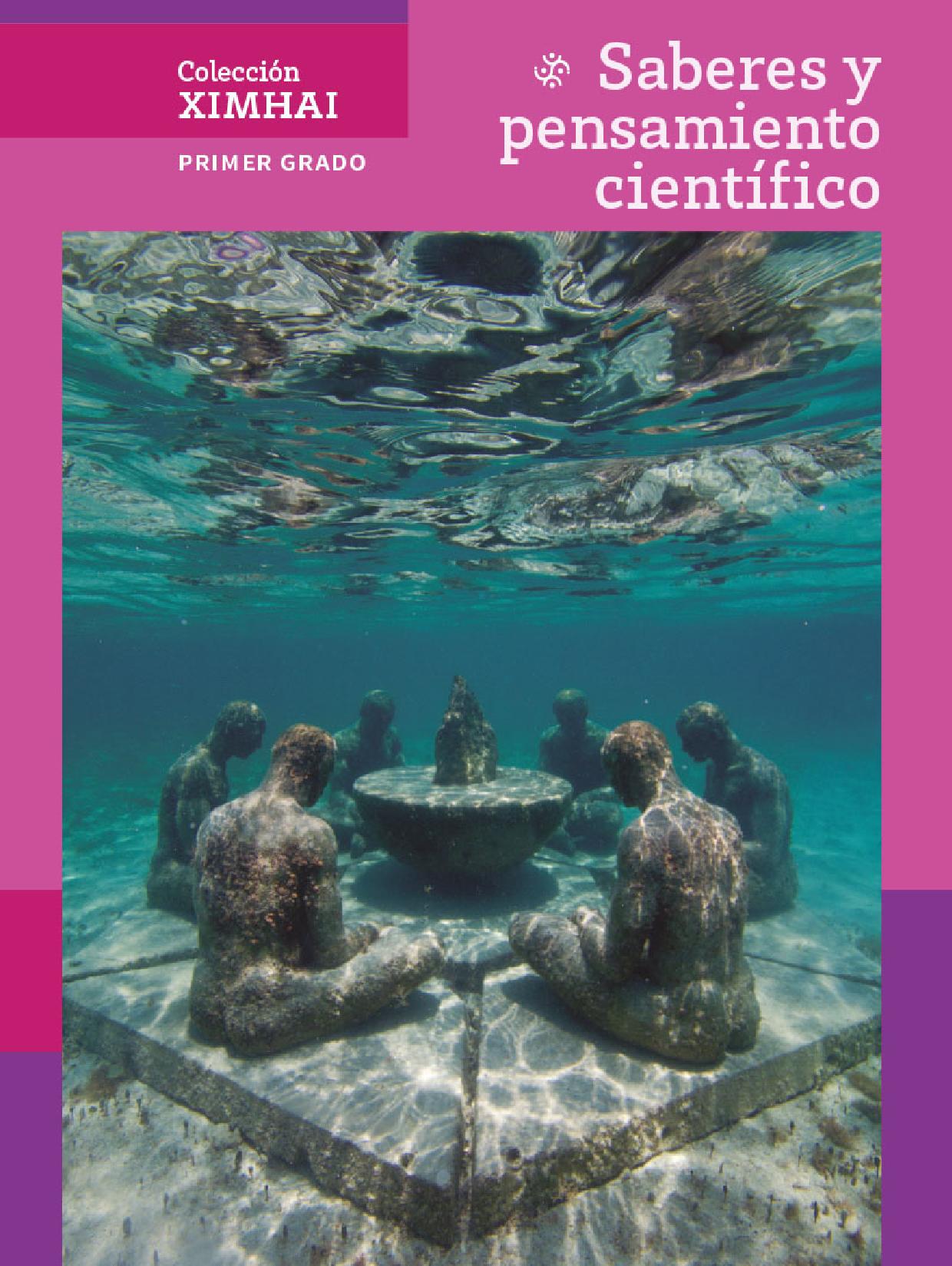 Portada de Saberes y pensamiento científico