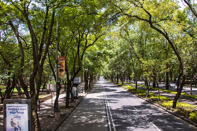 Reforma agraria