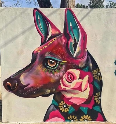 ARELI JIMENEZ CASCO