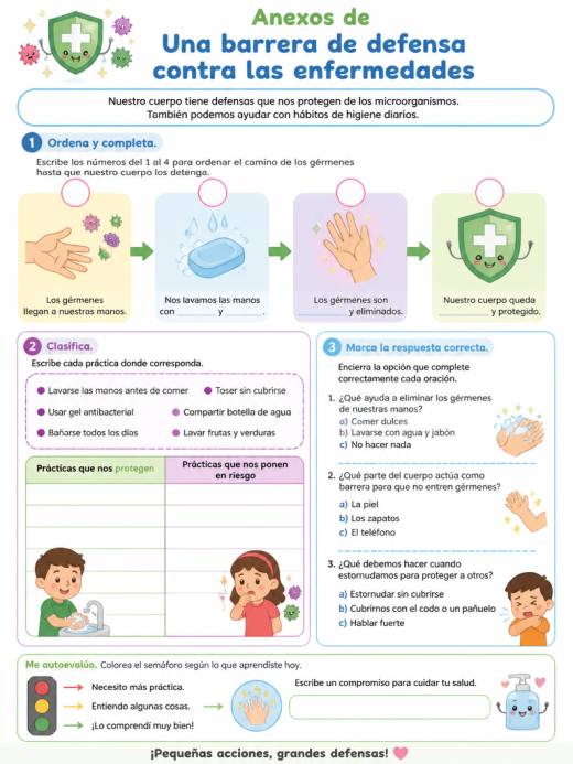 Anexos de Una barrera de defensa contra las enfermedades (Primaria)