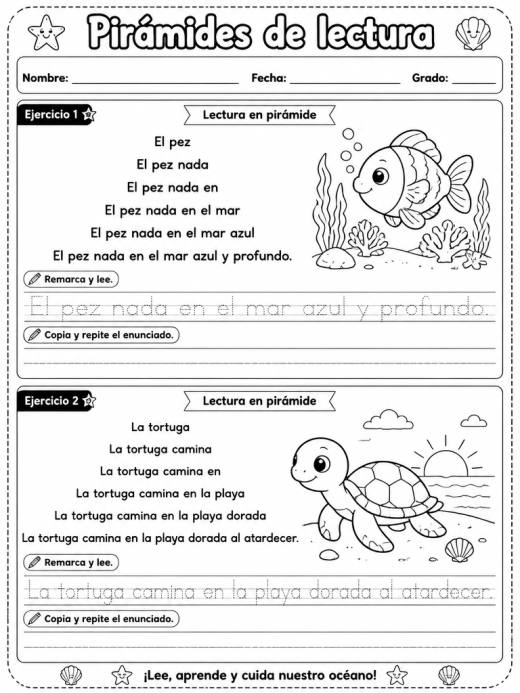 El Océano y los Animales Marinos
