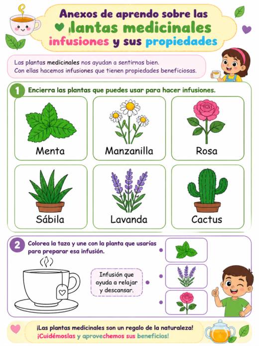 Hoja de Trabajo: Anexos de aprendo sobre las plantas medicinales infusiones y sus propiedades (1° de Primaria)