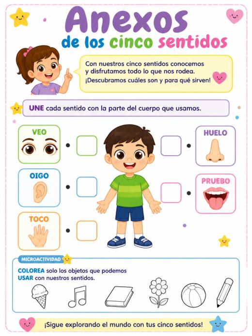 Anexos de los cinco centidos (2° de Primaria)