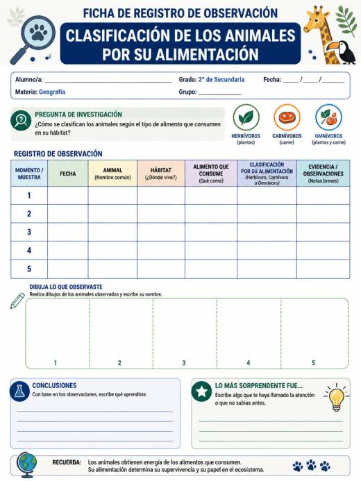 Clasificación de los Animales por su Alimentación