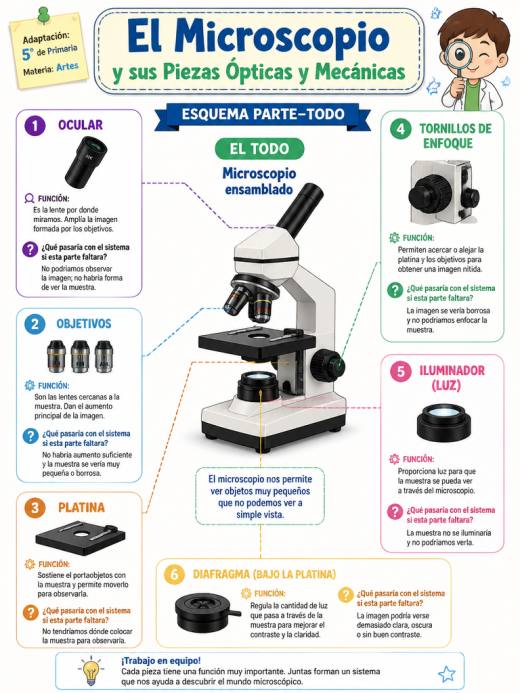 El Microscopio y sus Piezas Ópticas y Mecánicas