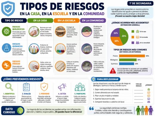 Tipos de riesgos en la casa, en la escuela y en la comunidad ( biológicos, químicos y físicos)