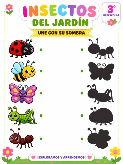 Insectos del Jardín
