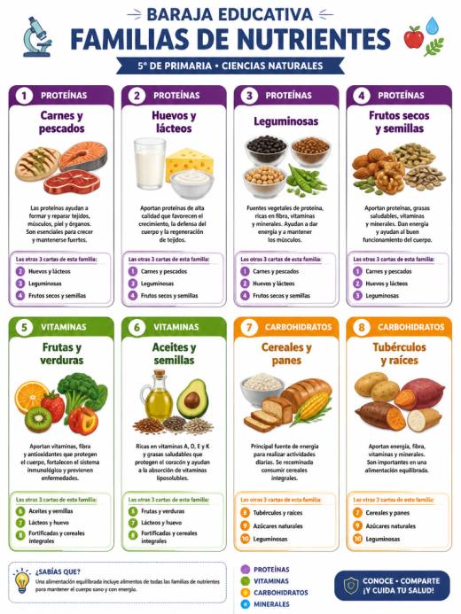 Familias de Nutrientes: Proteínas, Vitaminas, Carbohidratos y Minerales