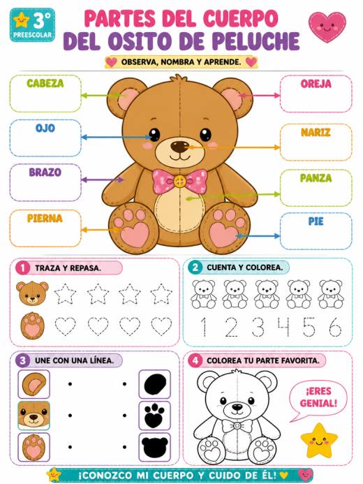 Un Osito de Peluche