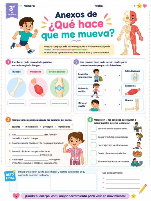Anexos de ¿Qué hace que me mueva? (3° de Primaria)