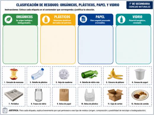 Clasificación de Residuos: Orgánicos, Plásticos, Papel y Vidrio