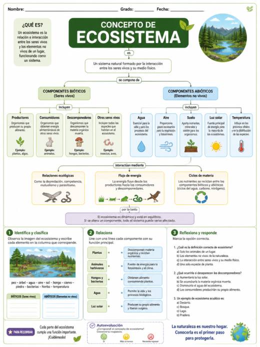 Concepto de Ecosistema