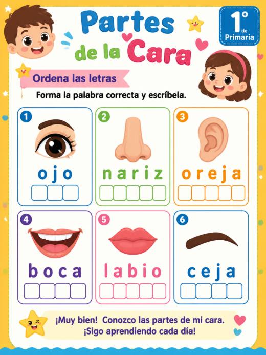 Partes de la Cara