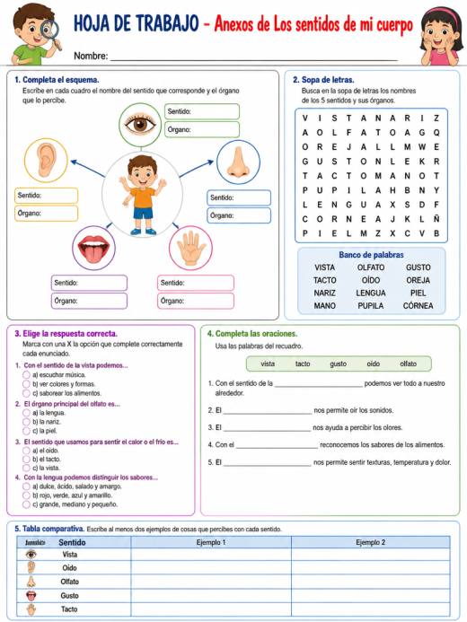 Hoja de Trabajo: Anexos de Los sentidos de mi cuerpo (Primaria)