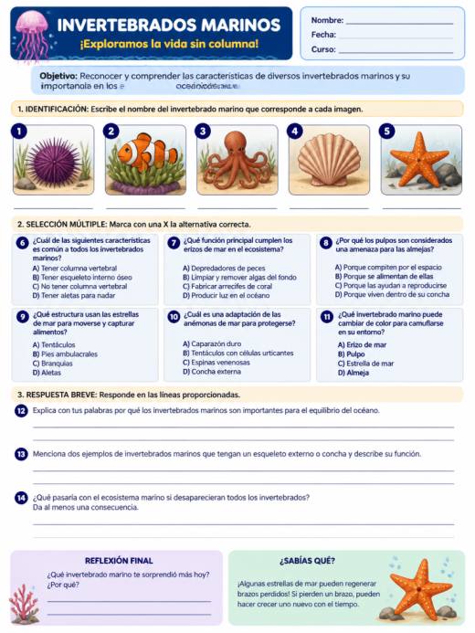 Partes del cuerpo