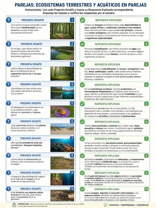 Parejas: Ecosistemas Terrestres y Acuáticos en Parejas