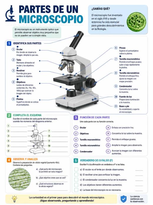 Partes de un Microscopio
