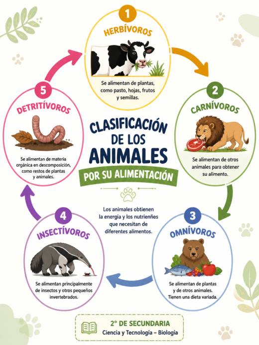 Clasificación de los Animales por su Alimentación