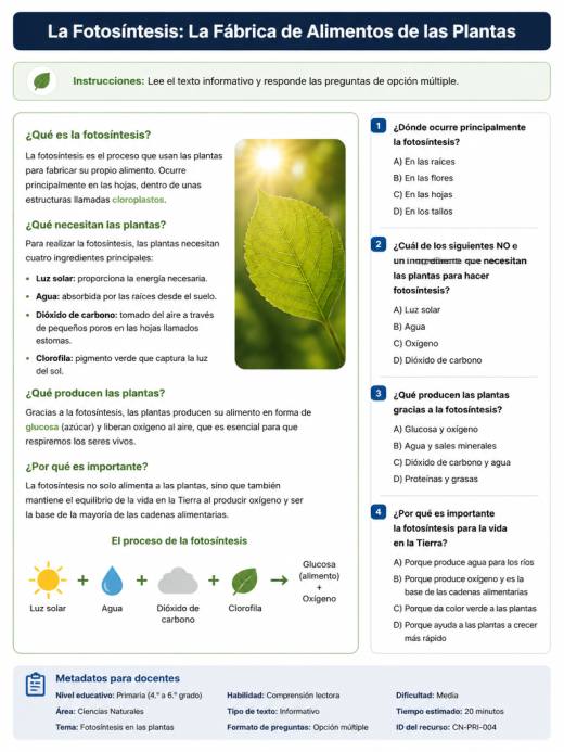 Los pasos para un experimento