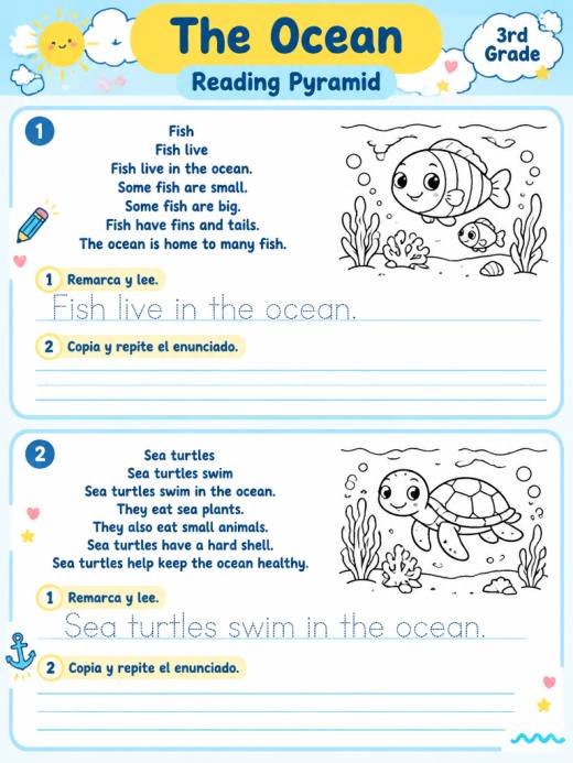 The Ocean