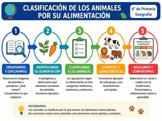 Clasificación de los Animales por su Alimentación