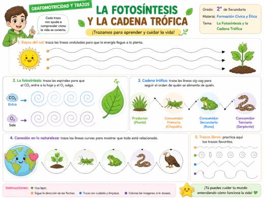 La Fotosíntesis y la Cadena Trófica