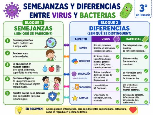 Semejanzas y Diferencias entre Virus y Bacterias