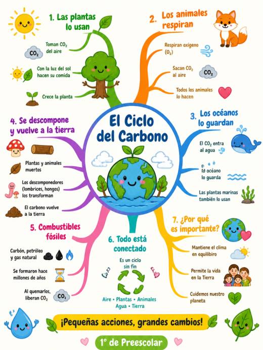 El Ciclo del Carbono