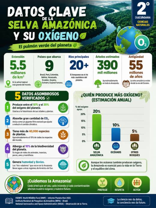 Datos Clave de la Selva Amazónica y su Oxígeno