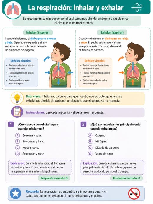 Números del 1 al 5