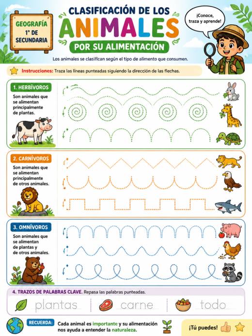 Clasificación de los Animales por su Alimentación