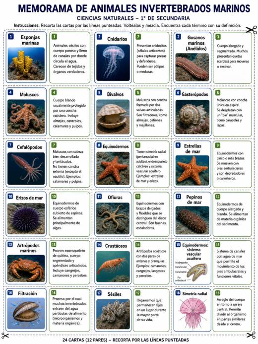 Memorama de Animales Invertebrados Marinos