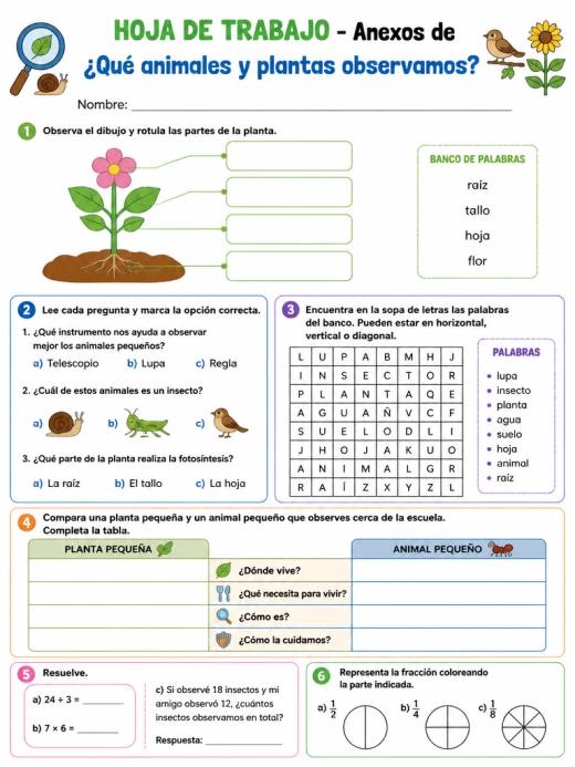 Hoja de Trabajo: Anexos de ¿Qué animales y plantas observamos? (Primaria)
