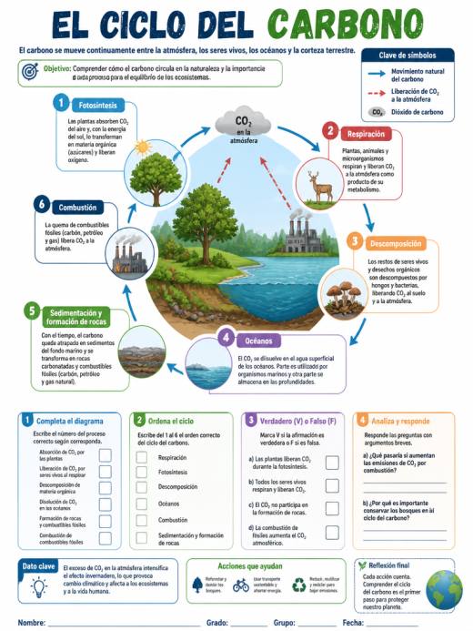 El Ciclo del Carbono