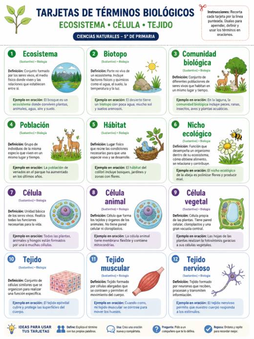 Tarjetas de Términos Biológicos (Ecosistema, Célula, Tejido)