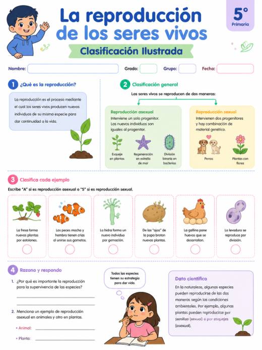 La reproducción de los seres vivos – Clasificación Ilustrada