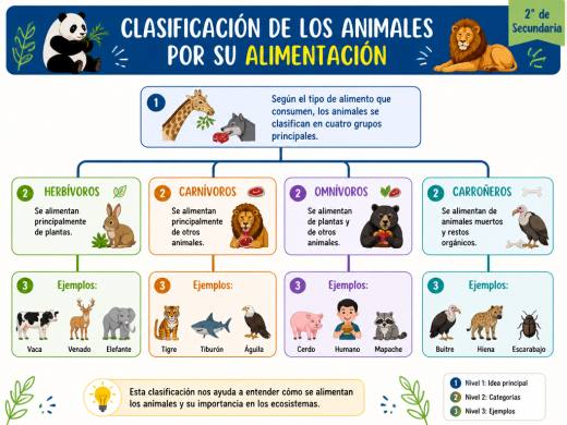 Clasificación de los Animales por su Alimentación