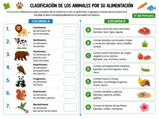 Clasificación de los Animales por su Alimentación