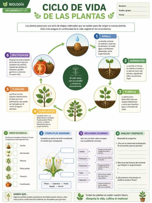 Ciclo de Vida de las Plantas