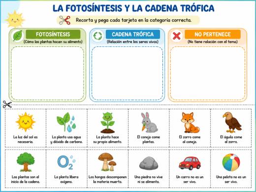 La Fotosíntesis y la Cadena Trófica