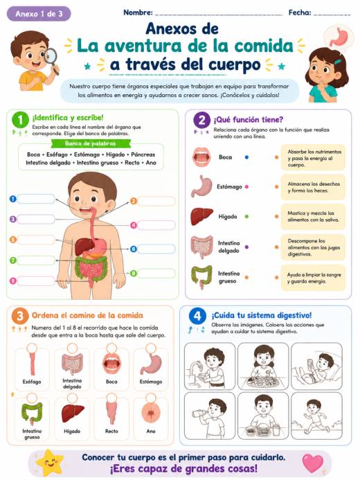 Hoja de Trabajo: Anexos de La aventura de la comida a través del cuerpo (Primaria)