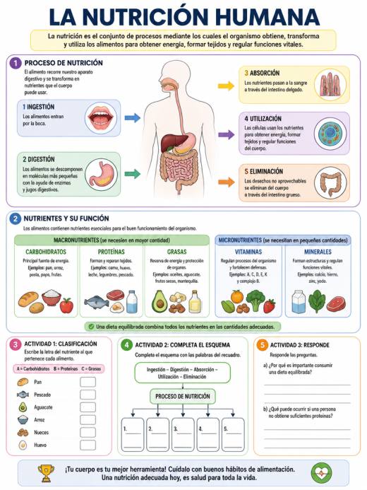 La Nutrición Humana