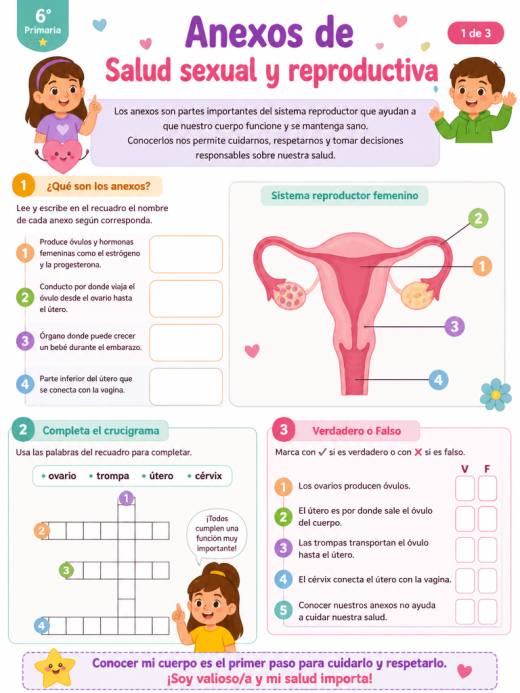 Anexos de Salud sexual y reproductiva (6° de Primaria)