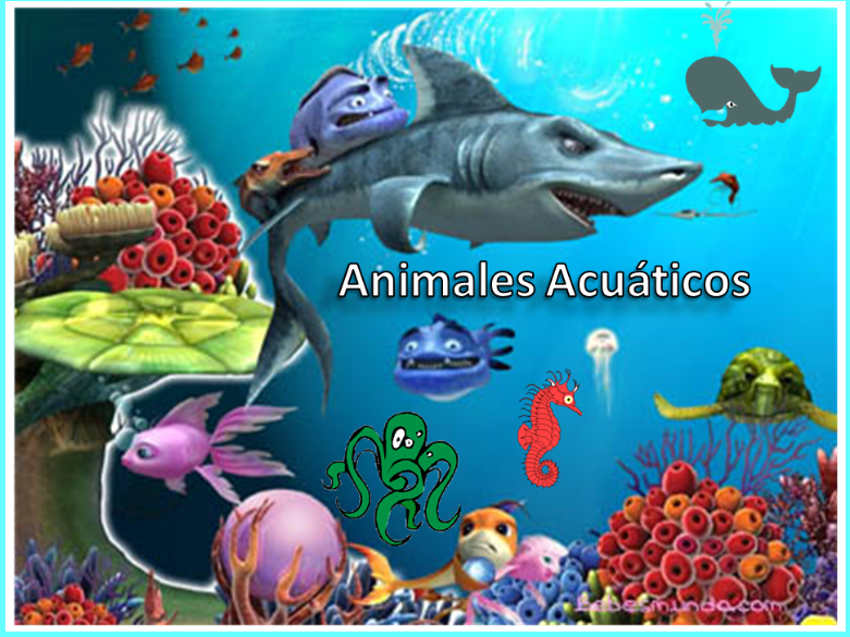 Animales acuaticos