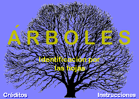 Árboles: identificación por las hojas