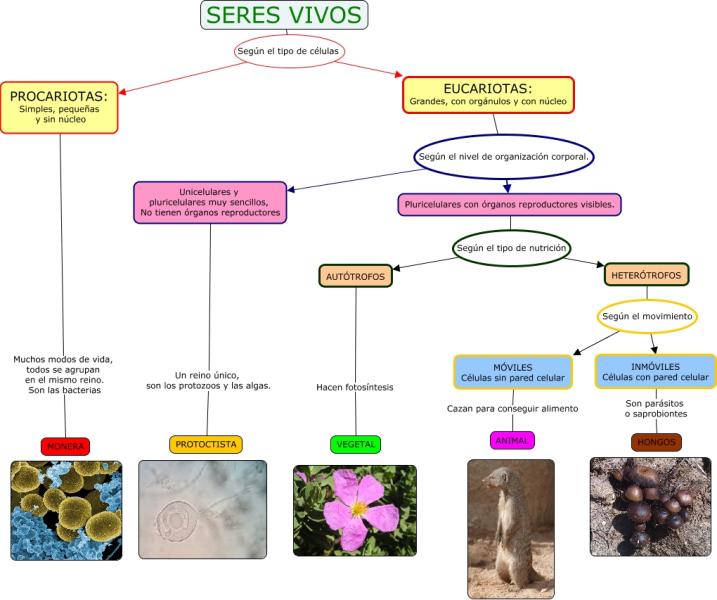 Biodiversidad